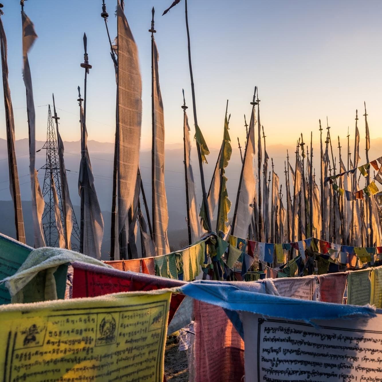 Frost-edged prayer flags on tall poles at dawn on a high pass