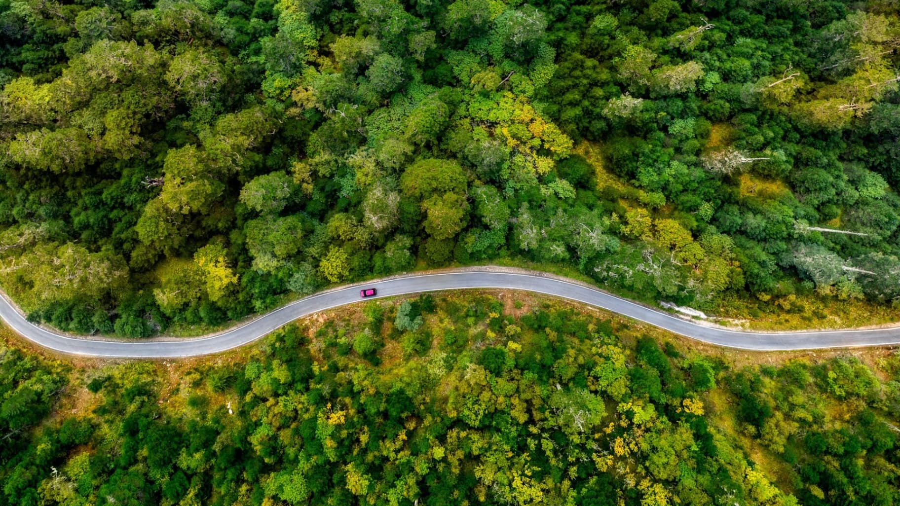 Aerial view of a solitary road winding through the dense, unbroken forest canopy of Bhutan