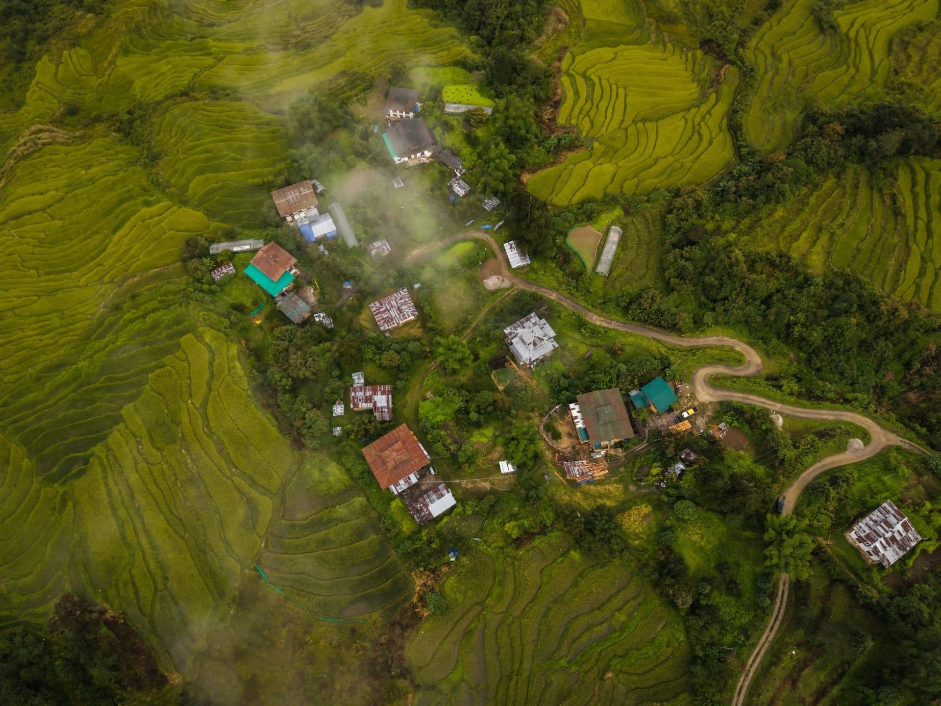 Aerial view of a small Bhutanese village surrounded by terraced rice fields, with morning mist drifting between the farmhouses
