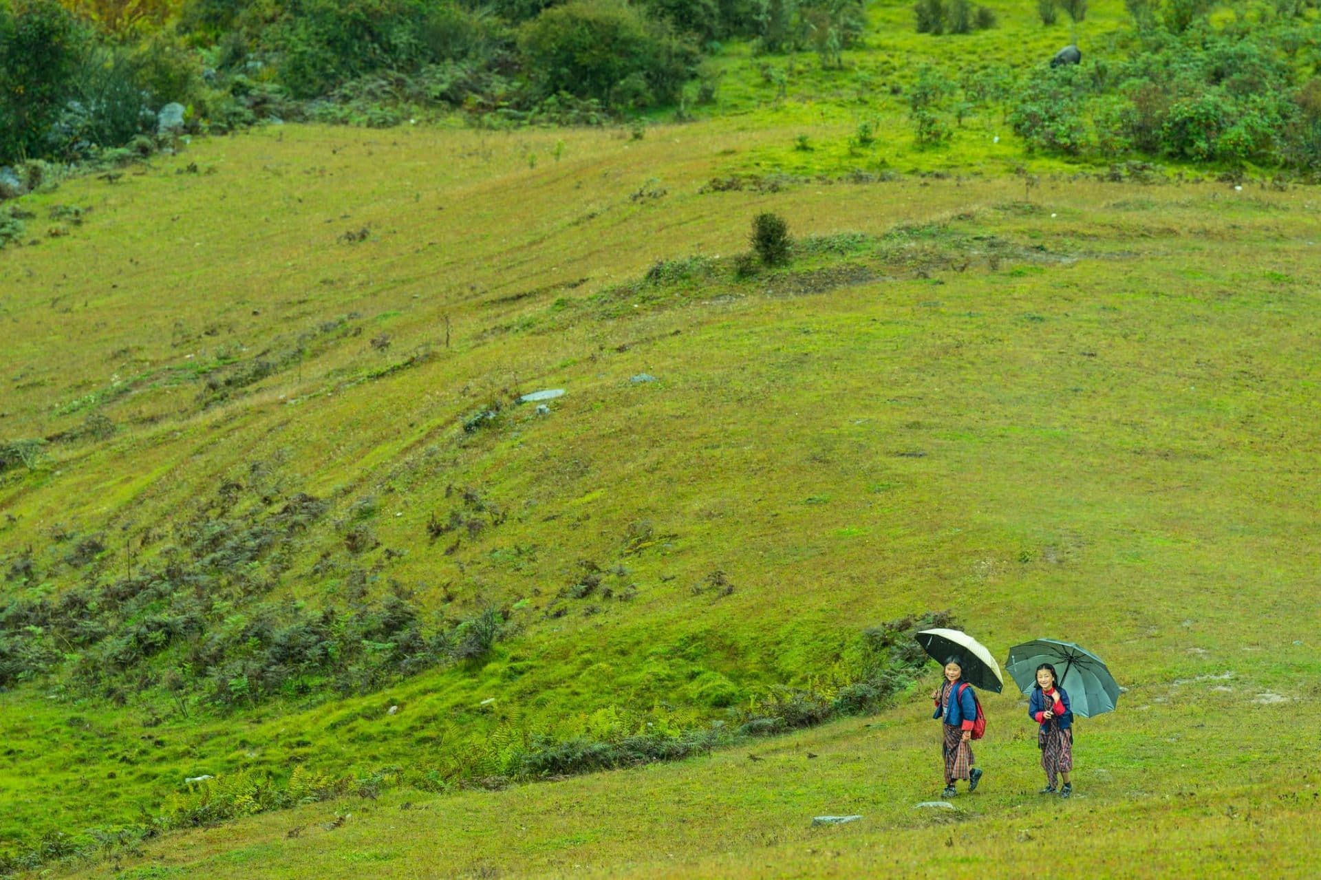 Two Bhutanese schoolgirls in traditional kira walking across a wide green hillside beneath umbrellas