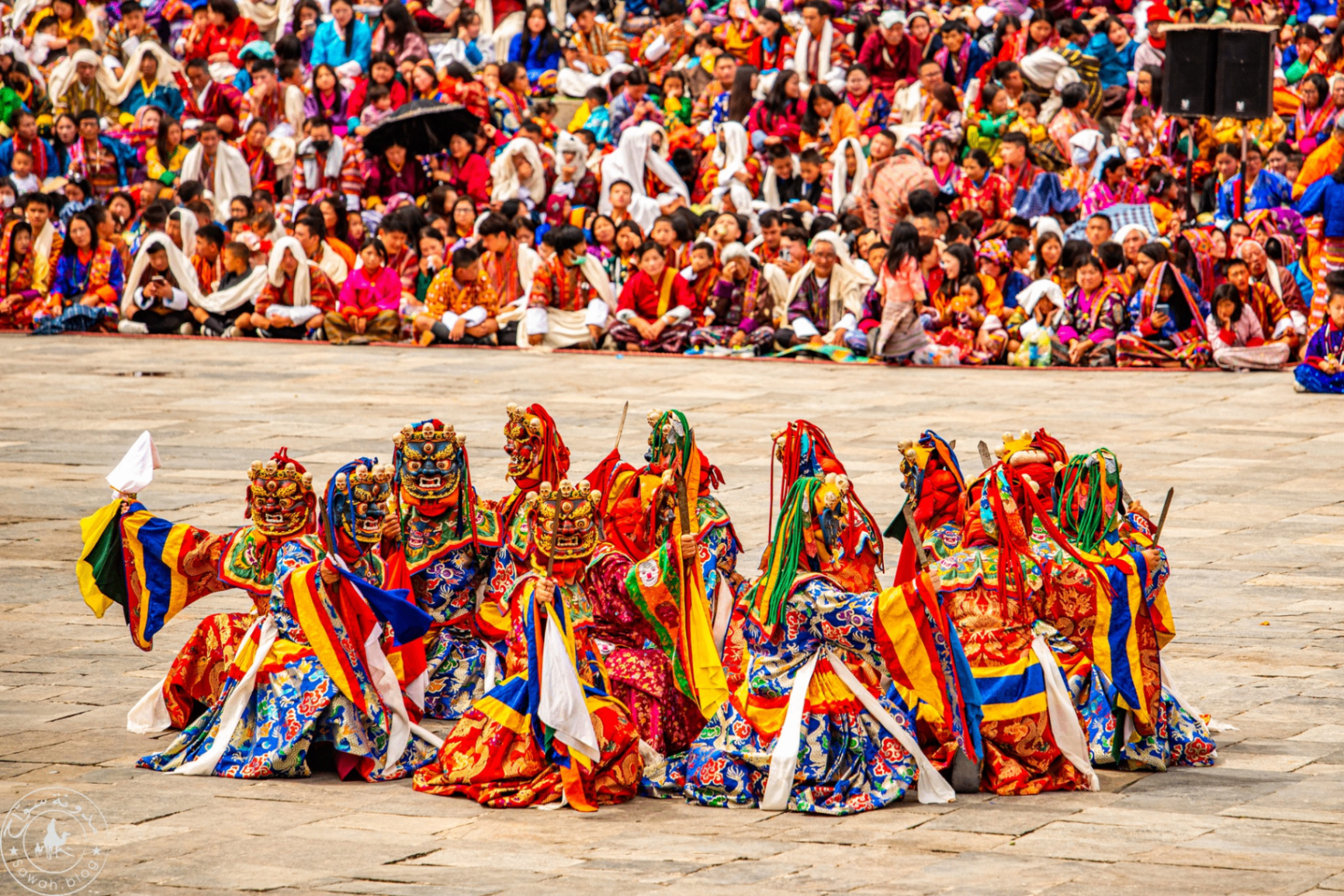 Festival Attendance