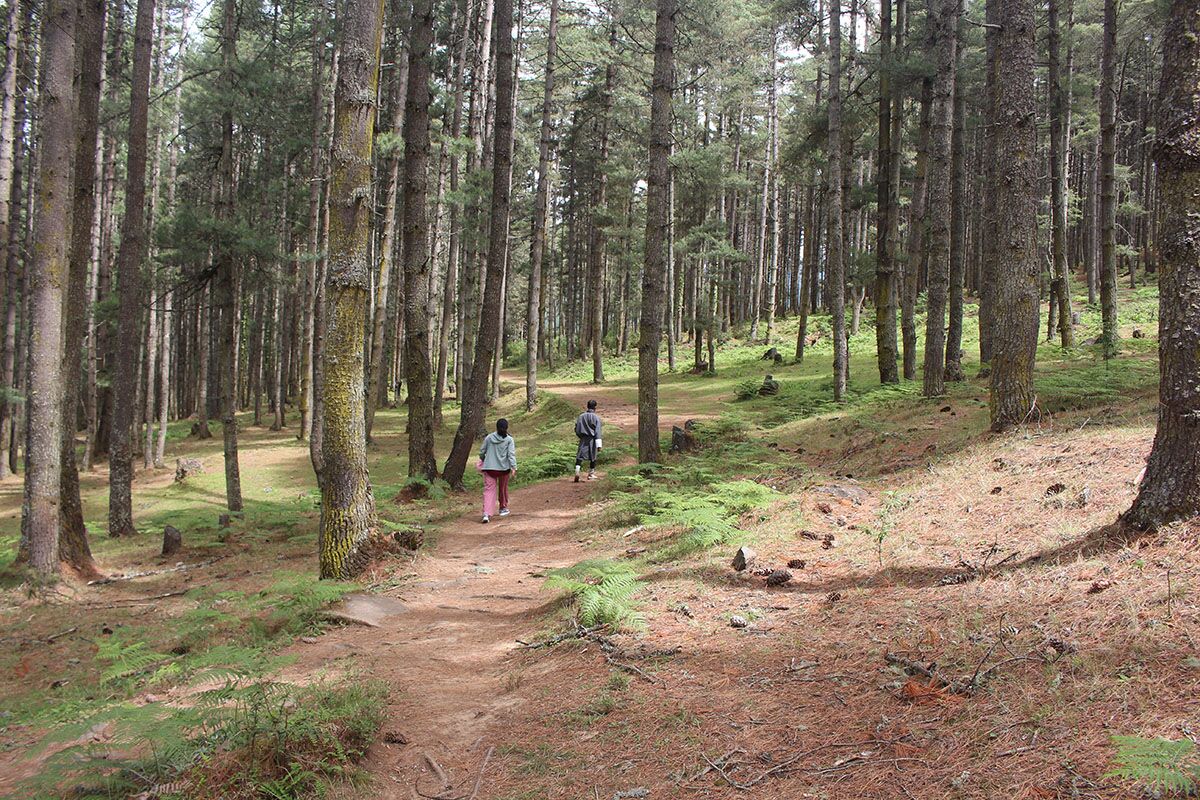 Gangtey
Nature Trail