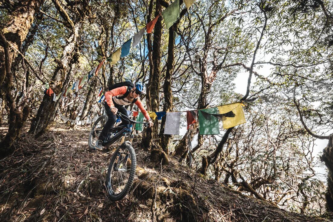 Mountain Biking
