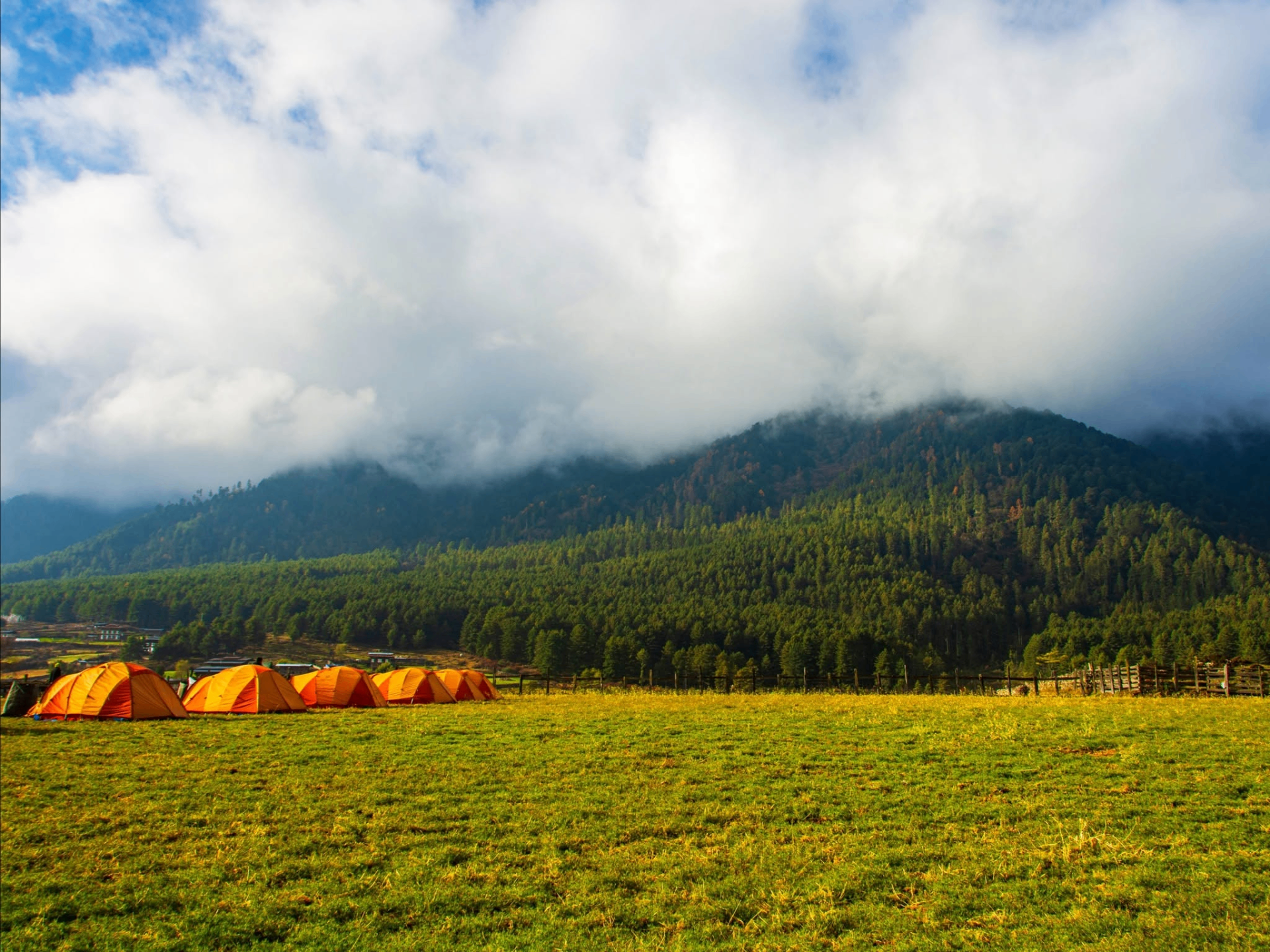Luxury Camping