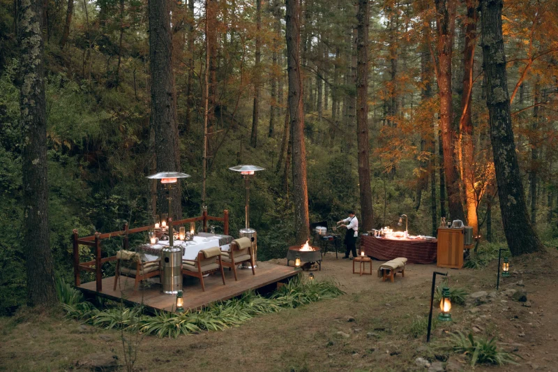 The Forest Dinner